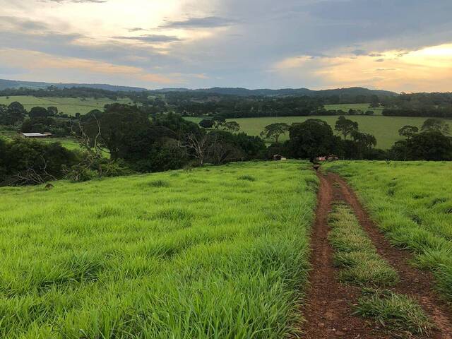 Chácara para Venda em Itauçu - 5
