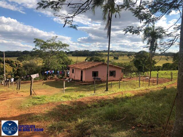 #4037 - Chácara para Venda em Itauçu - GO