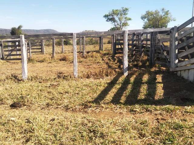 #4038 - Chácara para Venda em São Luís de Montes Belos - GO