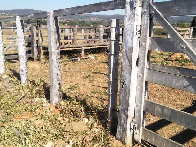 Chácara para Venda em São Luís de Montes Belos - 4