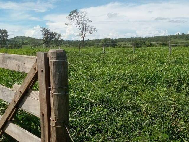 #4038 - Chácara para Venda em São Luís de Montes Belos - GO