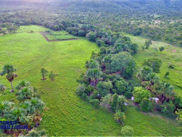 Fazenda para Venda em Palmeirópolis - 4