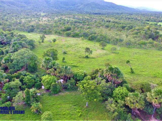 #4042 - Fazenda para Venda em Palmeirópolis - TO
