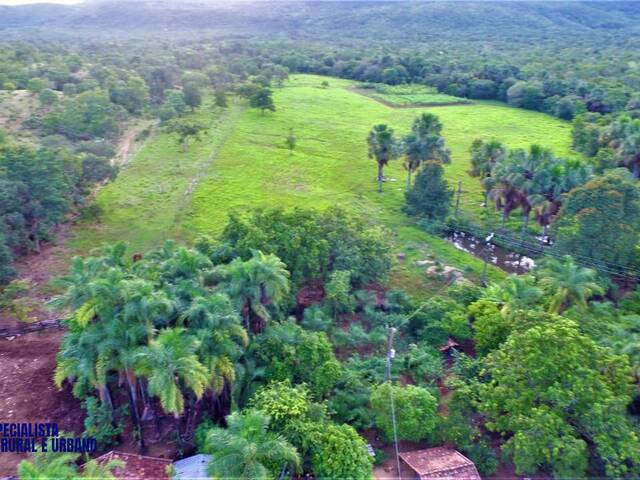 #4042 - Fazenda para Venda em Palmeirópolis - TO