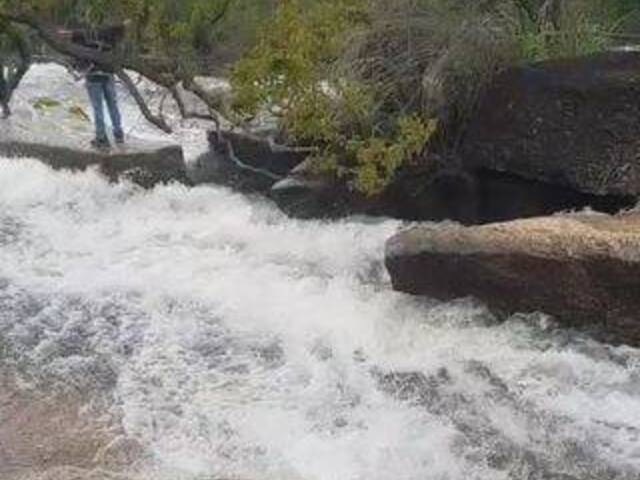 #4043 - Fazenda para Venda em Montividiu do Norte - GO