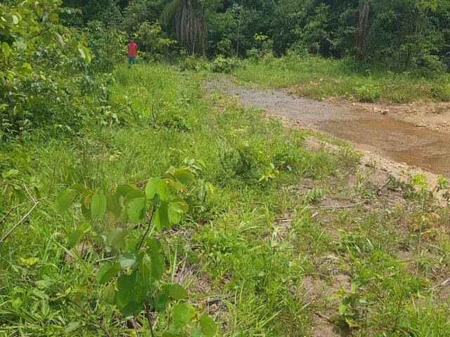 Fazenda para Venda em Montividiu do Norte - 4
