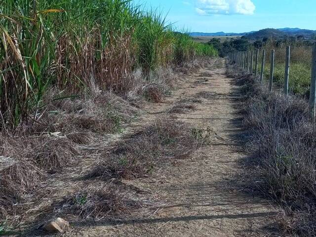 #4047 - Fazenda para Venda em Itapuranga - GO