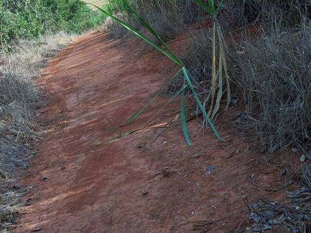 Fazenda para Venda em Itapuranga - 4