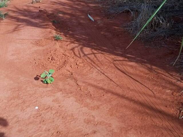 Fazenda para Venda em Itapuranga - 5