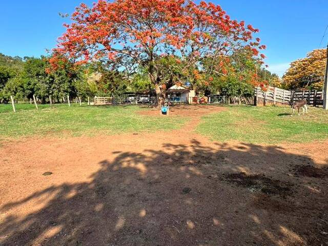 #4048 - Chácara para Venda em Doverlândia - GO