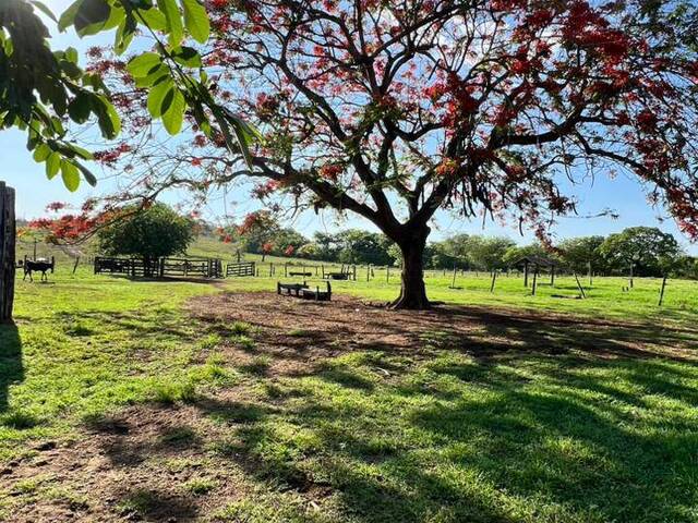 #4048 - Chácara para Venda em Doverlândia - GO