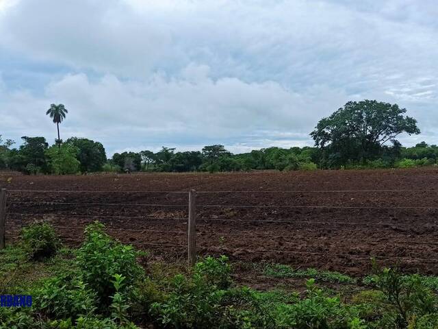 Fazenda para Venda em Alto Paraíso de Goiás - 5