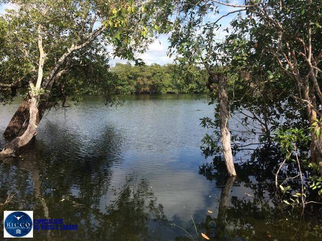 #4055 - Fazenda para Venda em Cocalinho - MT