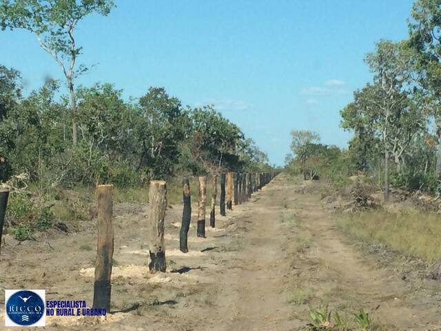 #4055 - Fazenda para Venda em Cocalinho - MT