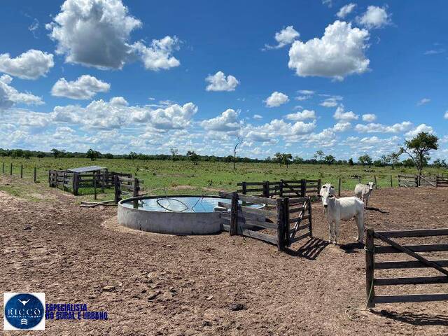 #4055 - Fazenda para Venda em Cocalinho - MT