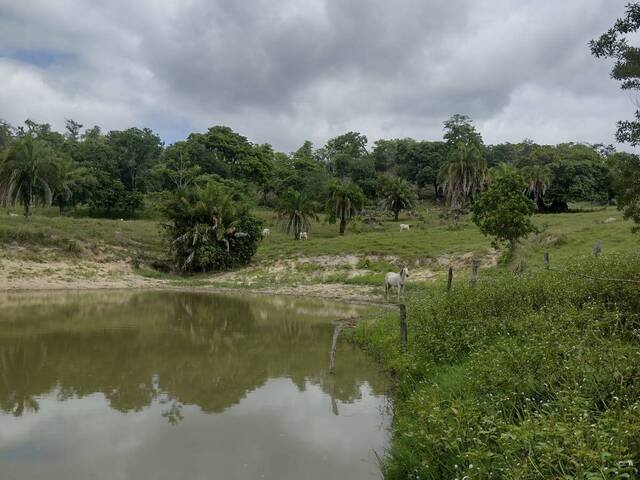 #4056 - Fazenda para Venda em Crixás - GO