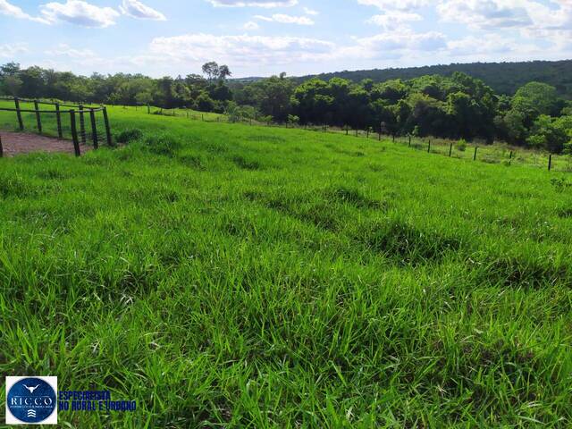 #4057 - Fazenda para Venda em Morrinhos - GO