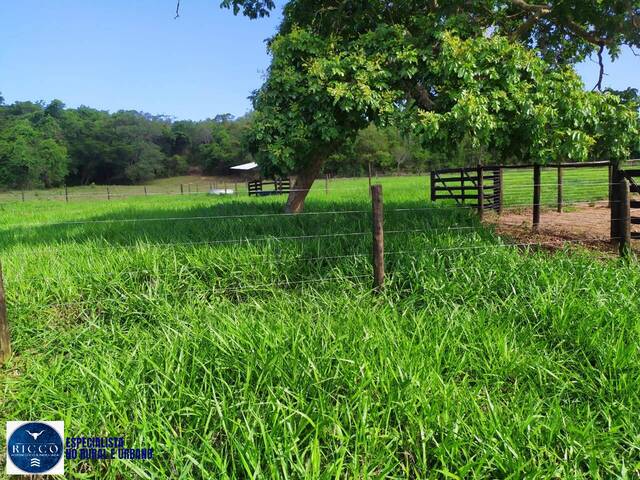 Fazenda para Venda em Morrinhos - 5