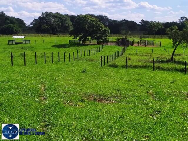 #4057 - Fazenda para Venda em Morrinhos - GO