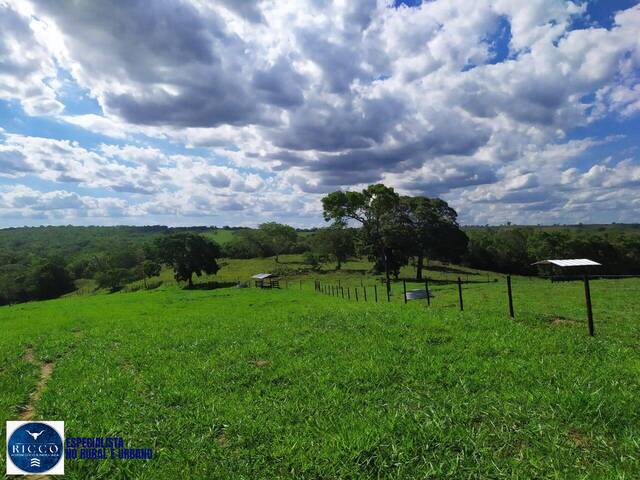 #4057 - Fazenda para Venda em Morrinhos - GO