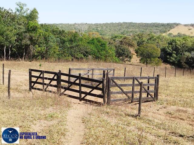 #4057 - Fazenda para Venda em Morrinhos - GO