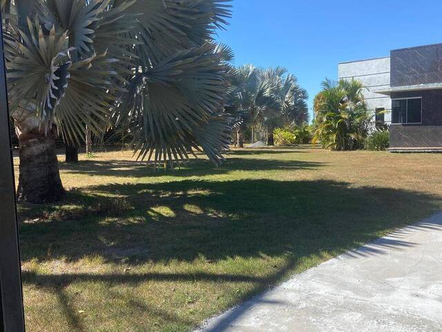 #4060 - Chácara para Venda em Bela Vista de Goiás - GO