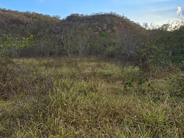 #4070 - Fazenda para Venda em Campinorte - GO
