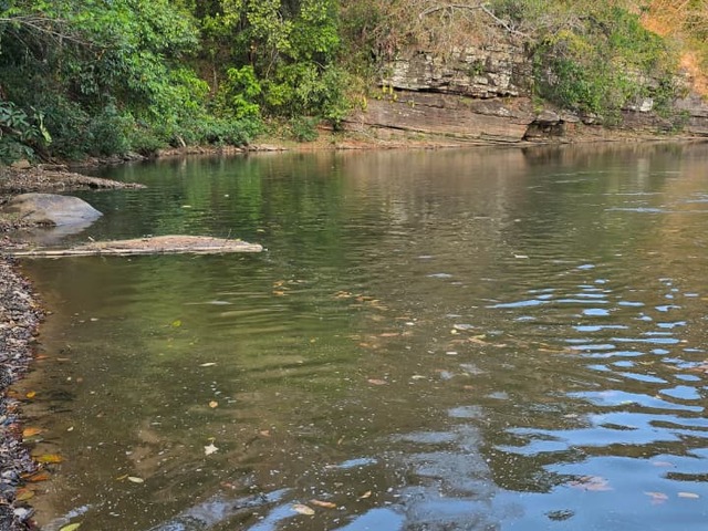 #4070 - Fazenda para Venda em Campinorte - GO