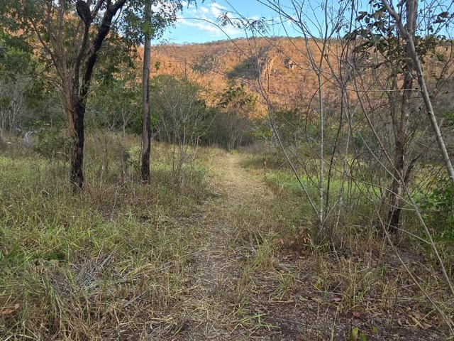 Fazenda para Venda em Campinorte - 4