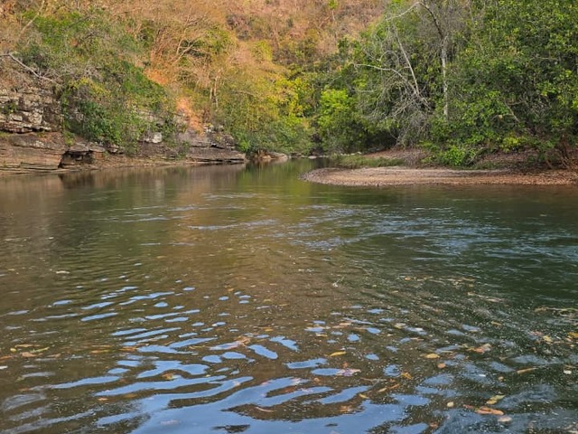 Fazenda para Venda em Campinorte - 5
