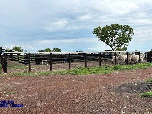 #4071 - Fazenda para Venda em Paranã - TO