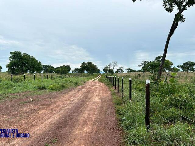 #4071 - Fazenda para Venda em Paranã - TO