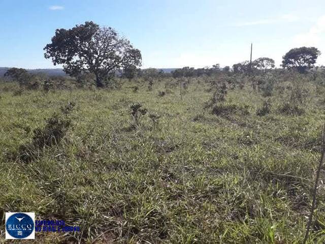 #4072 - Fazenda para Venda em Ipameri - GO