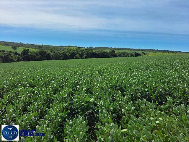 Fazenda para Venda em Ipameri - 4