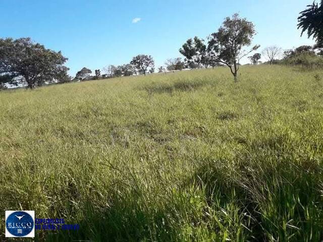 Fazenda para Venda em Ipameri - 5
