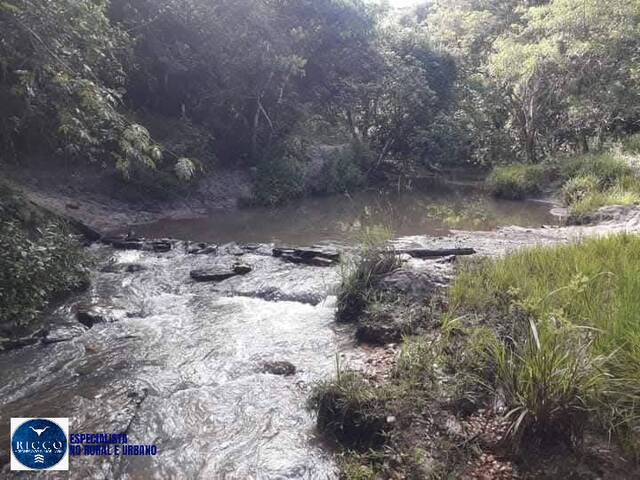#4072 - Fazenda para Venda em Ipameri - GO