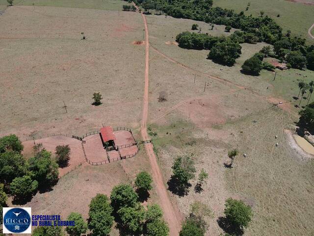 #4074 - Fazenda para Venda em Sanclerlândia - GO
