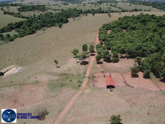 #4074 - Fazenda para Venda em Sanclerlândia - GO