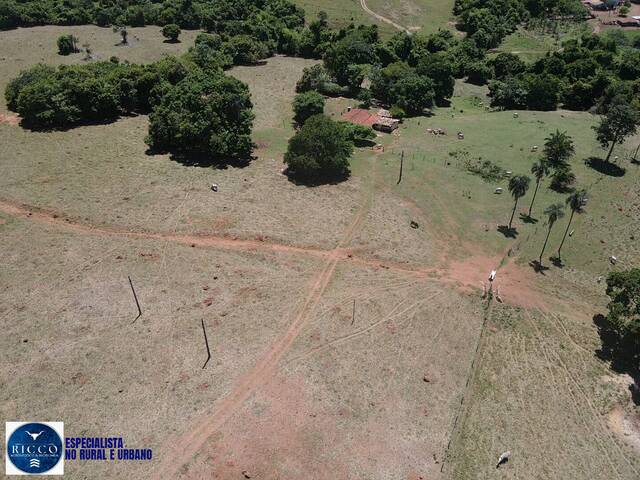 Fazenda para Venda em Sanclerlândia - 4