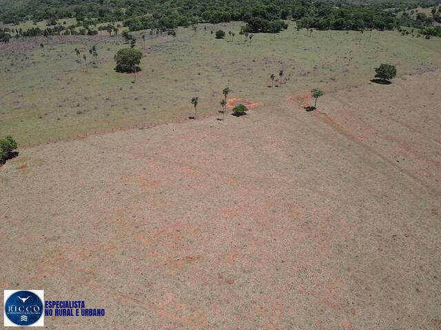 Fazenda para Venda em Sanclerlândia - 5
