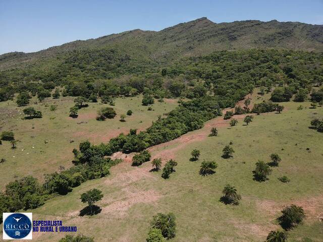 #4074 - Fazenda para Venda em Sanclerlândia - GO