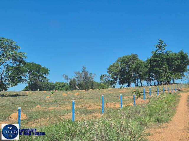 Fazenda para Venda em Bom Jardim de Goiás - 4
