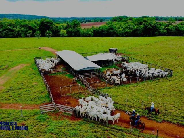Fazenda para Venda em Bom Jardim de Goiás - 5