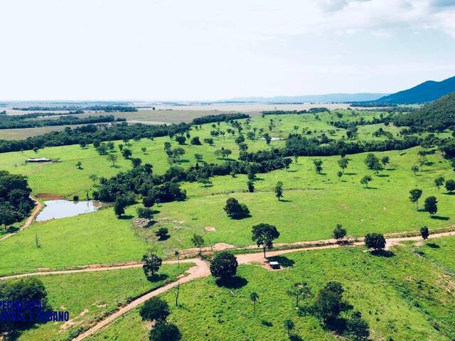 #4075 - Fazenda para Venda em Bom Jardim de Goiás - GO
