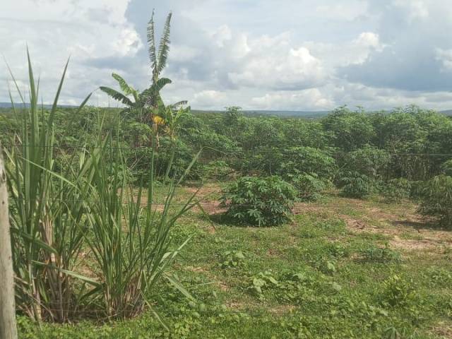#4076 - Fazenda para Venda em Barra do Garças - MT