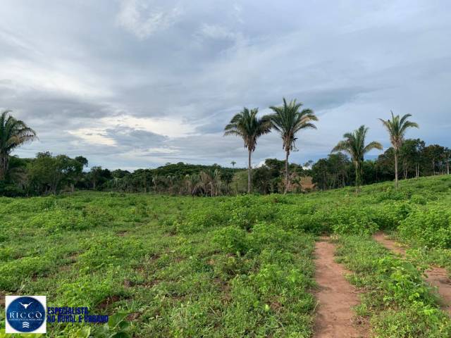 #4079 - Fazenda para Venda em Piranhas - GO