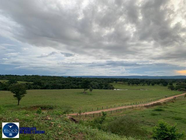 Venda em zona rural - Piranhas
