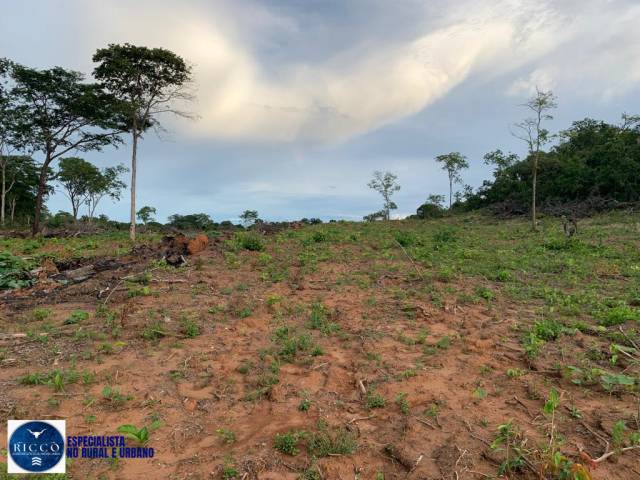 Fazenda para Venda em Piranhas - 5