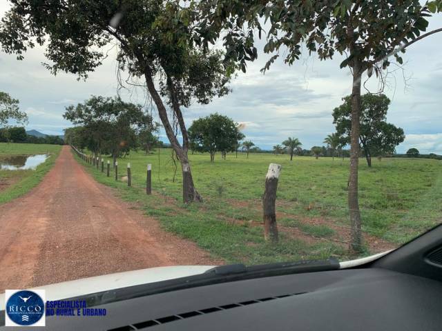 Fazenda para Venda em Piranhas - 4