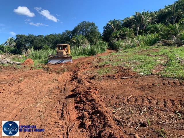 #4080 - Fazenda para Venda em Piranhas - GO